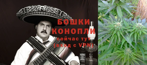 крисы Касимов