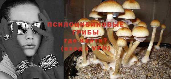 крисы Касимов