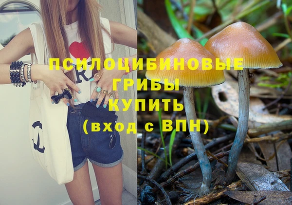 крисы Касимов