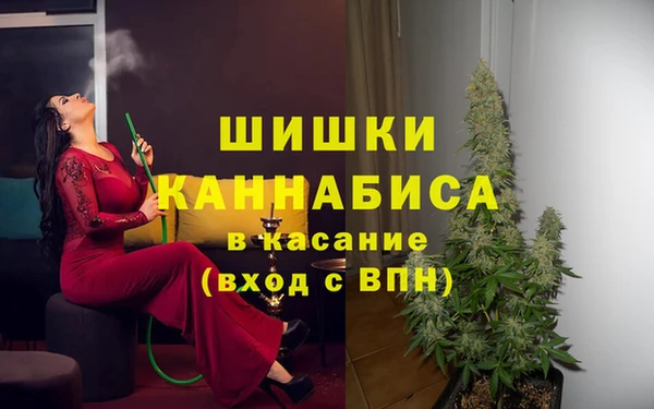 крисы Касимов