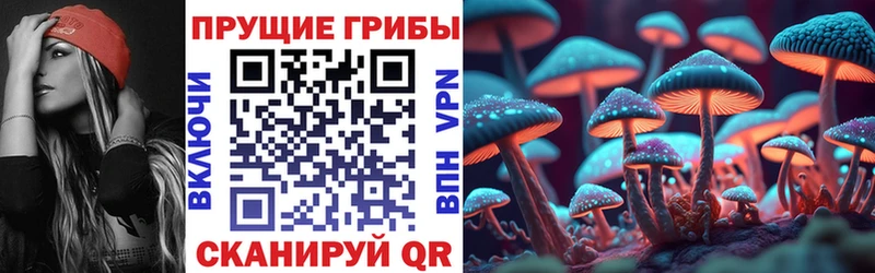 Купить закладки Ефремов Галлюциногенные грибы прущие грибы